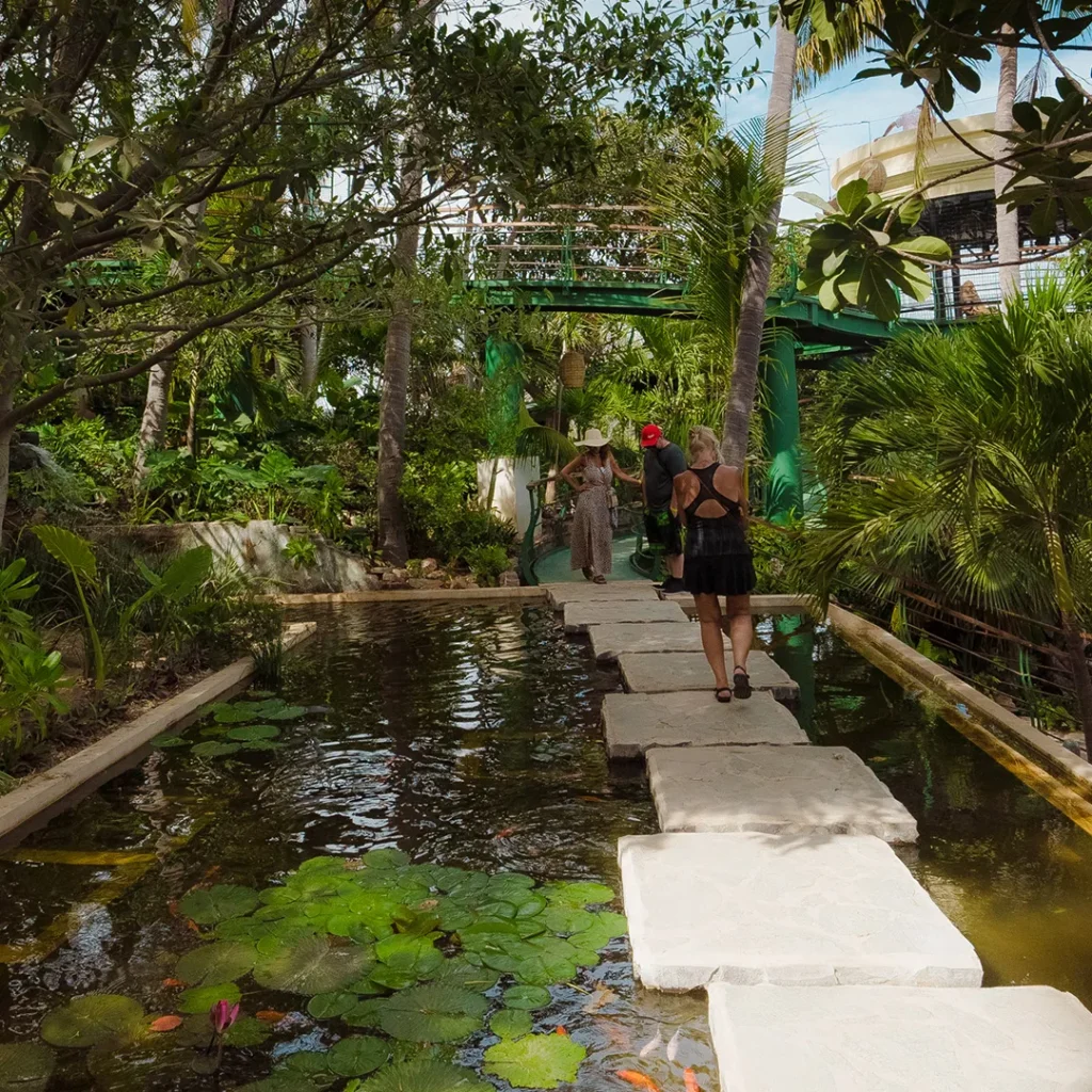 Espacio dedicado a la preservación de la iguana.